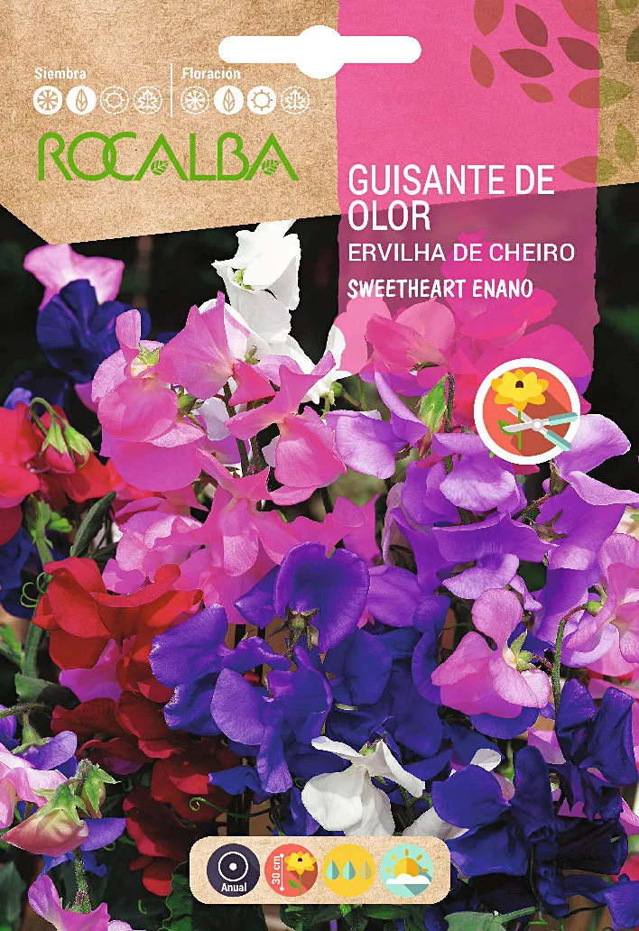 Semilla Guisante de Olor Sweetheart Enano Variado