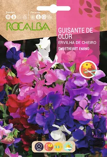 Semilla Guisante de Olor Sweetheart Enano Variado