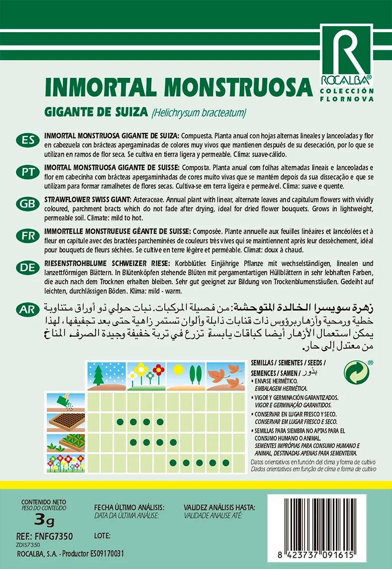 Semilla Inmortal Monstruosa Geante de Suisse — foto 2