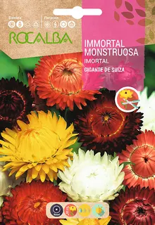 Semilla Inmortal Monstruosa Geante de Suisse