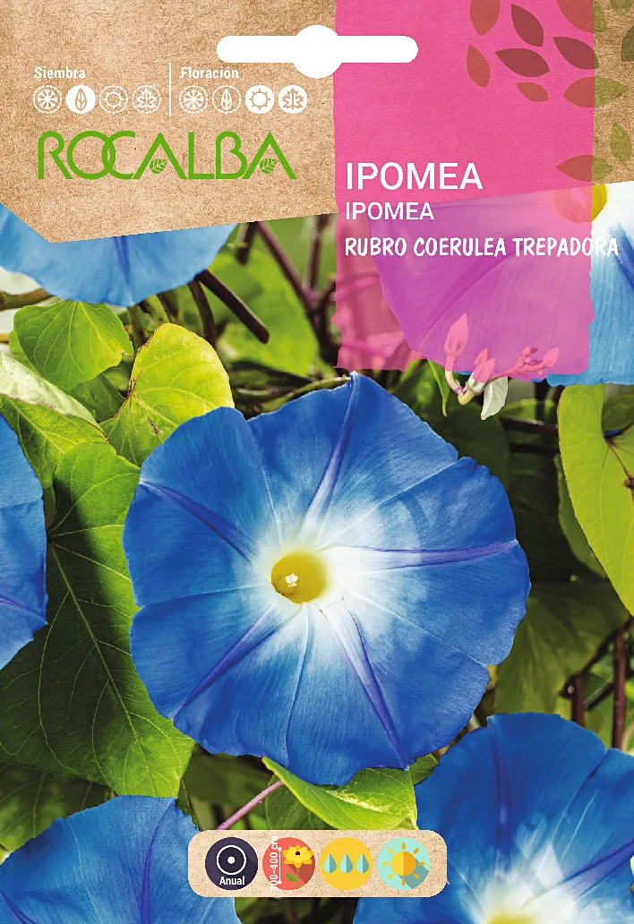 Semilla Ipomea Rubro Coerulea Trepadora Azul