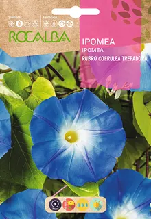 Semilla Ipomea Rubro Coerulea Trepadora Azul