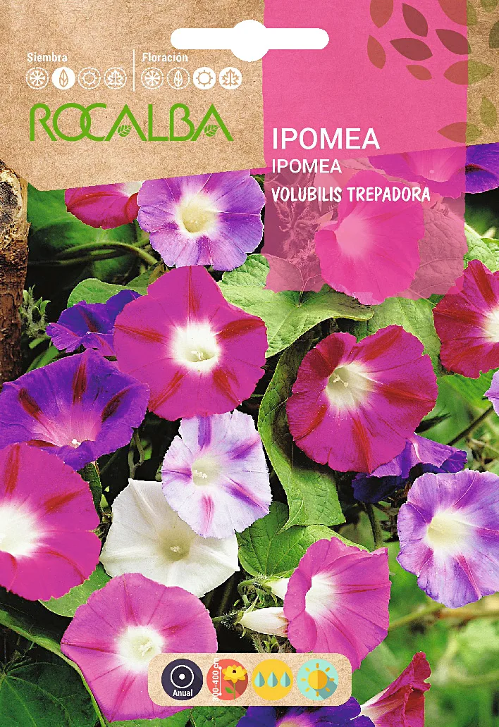 Semilla Ipomea Volubilis Variada — foto principal