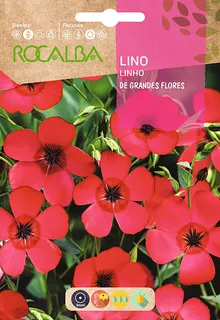 Semilla Lino de Grande Flores Rojo