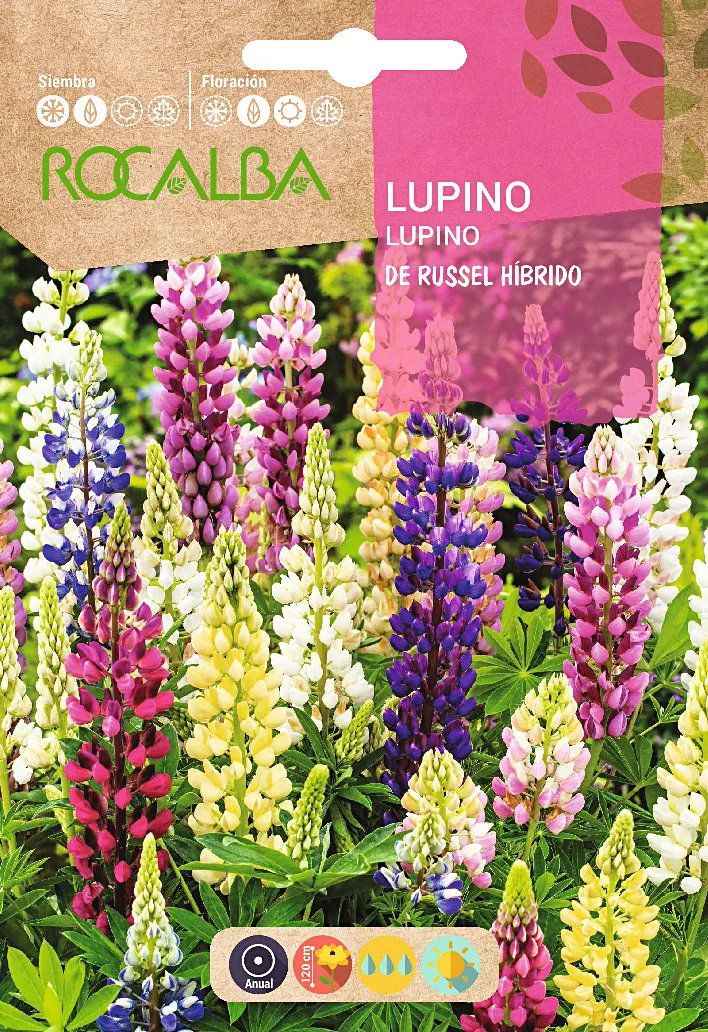 Semilla Lupino Polygylle de Russel Hibrido