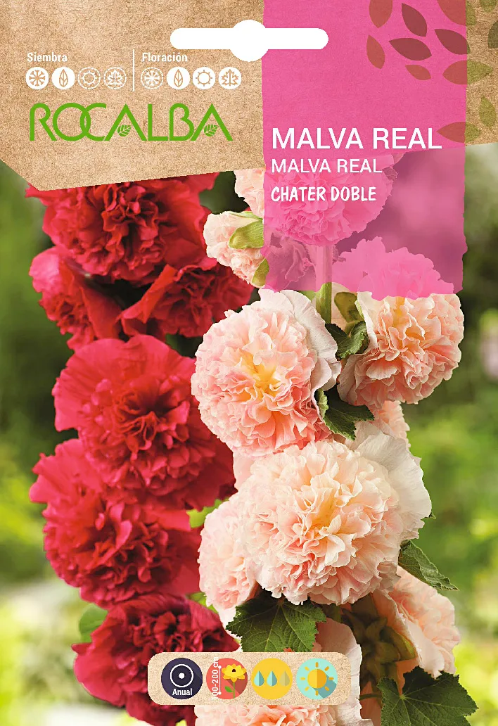 Semilla Malva Real Chater Doble Variada — foto principal