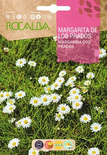 Semilla Margarita de los Prados