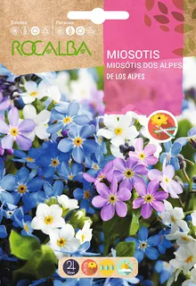 Semilla Miosotis de los Alpes Variado