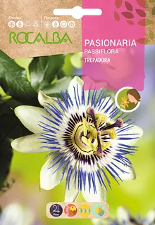 Semilla Pasionaria Trepadora