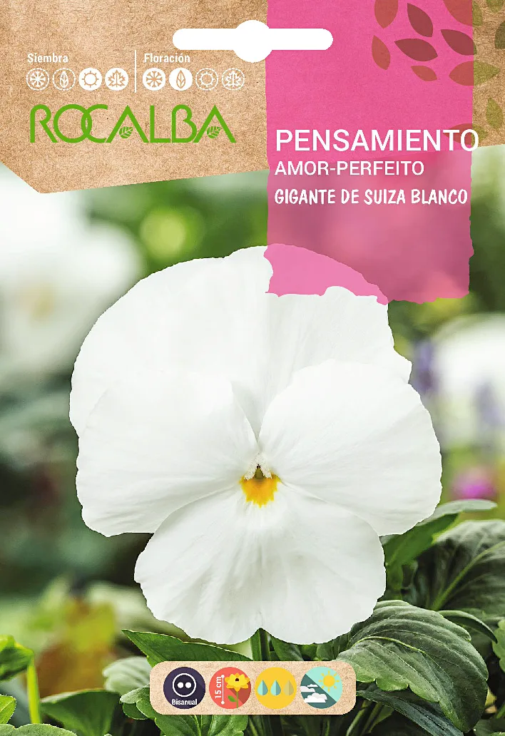 Semilla Pensamiento Gig.de Suiza, Blanco
