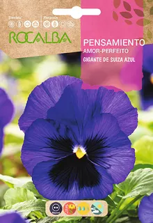 Semilla Pensamiento Gig. de Suiza Azul con Macula
