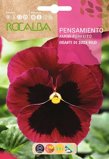 Semilla Pensamiento Gig.de Suiza,rojo con Macula