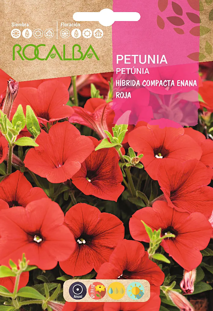 Semilla Petunia Hibrida Compacta Enana,encarnada — foto principal