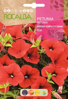 Semilla Petunia Hibrida Compacta Enana,encarnada