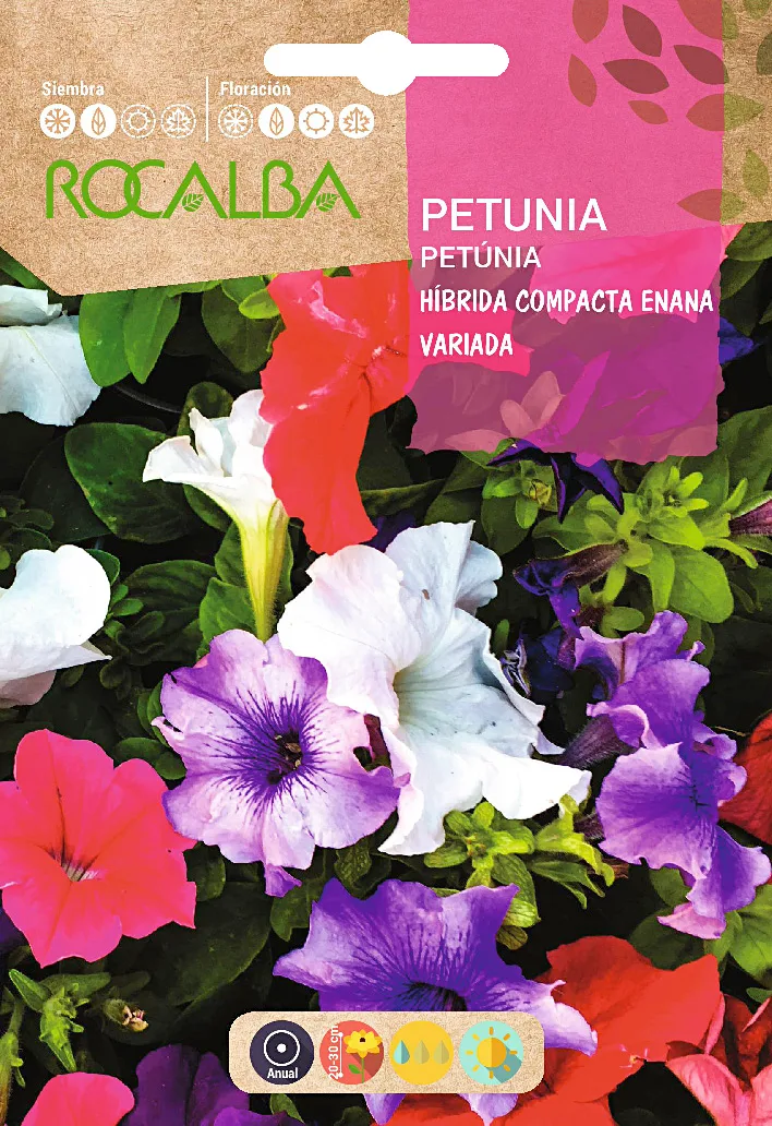 Semilla Petunia Hibrida Compacta Enana,variada — foto principal