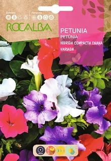 Semilla Petunia Hibrida Compacta Enana,variada
