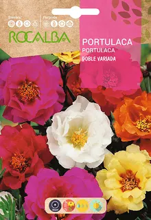 Semilla Portulaca Doble, Variada