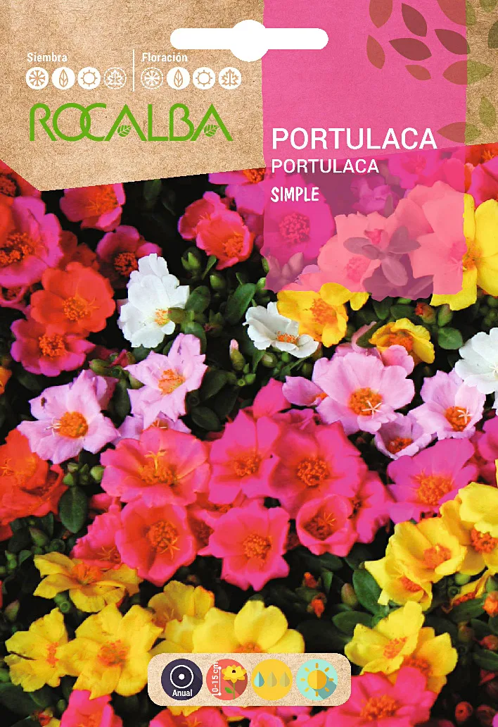 Semilla Portulaca Simple, Variada — foto principal