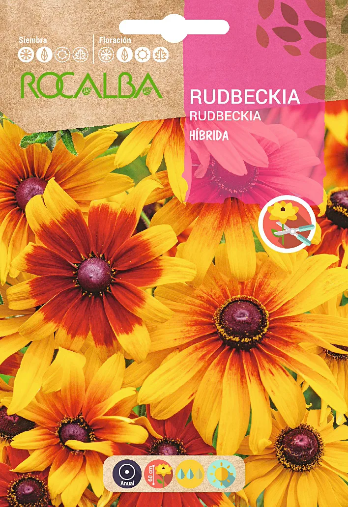 Semilla Rudbeckia Hibrida Variada