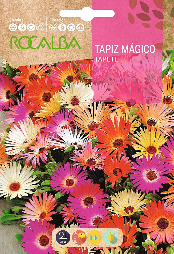 Semilla Tapiz Magico Ficoide Criniflorum