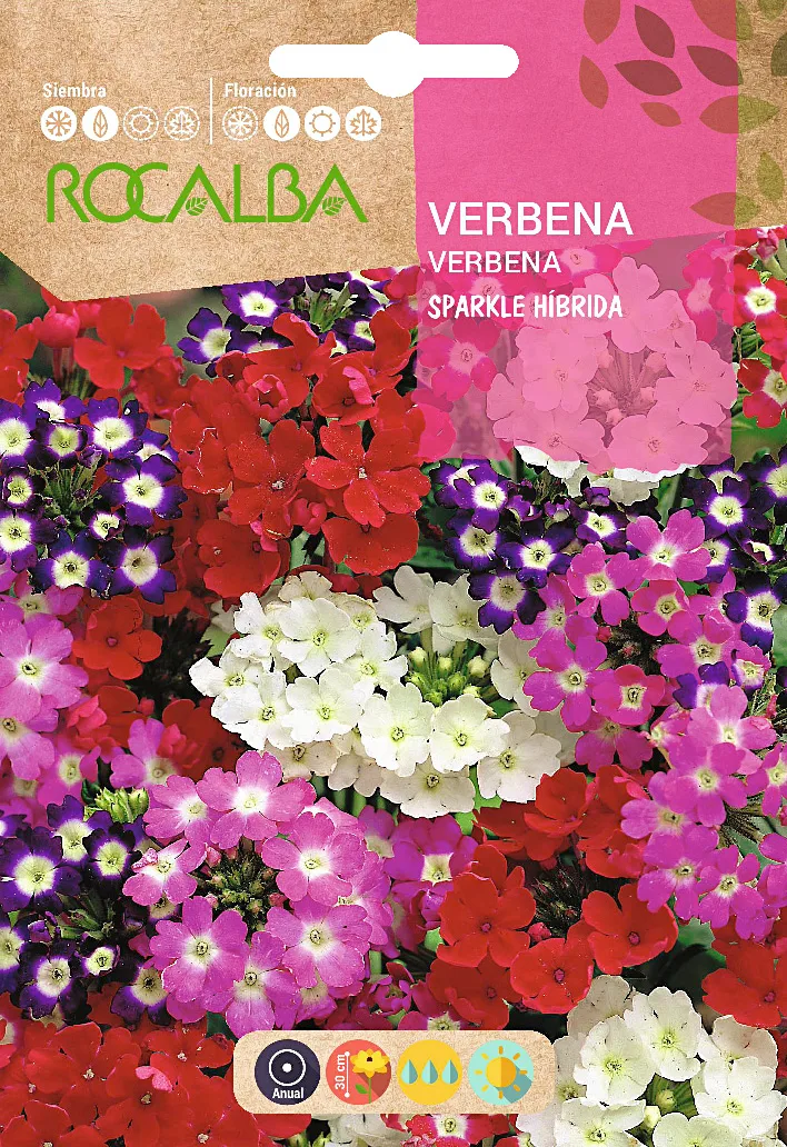 Semilla Verbena Sparkle Hibrida, Variada