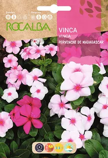 Semilla Vinca Pervenche de Madagascar, Variada