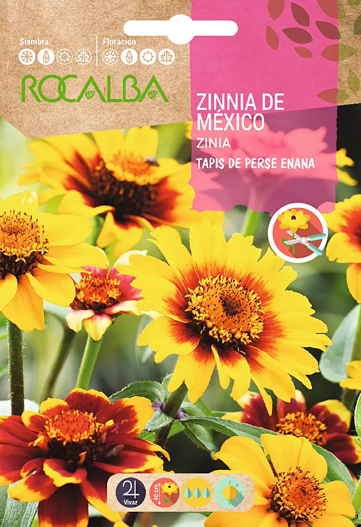 Semilla Zinia de Mexico Tapis de Perse Enana Variada — foto principal