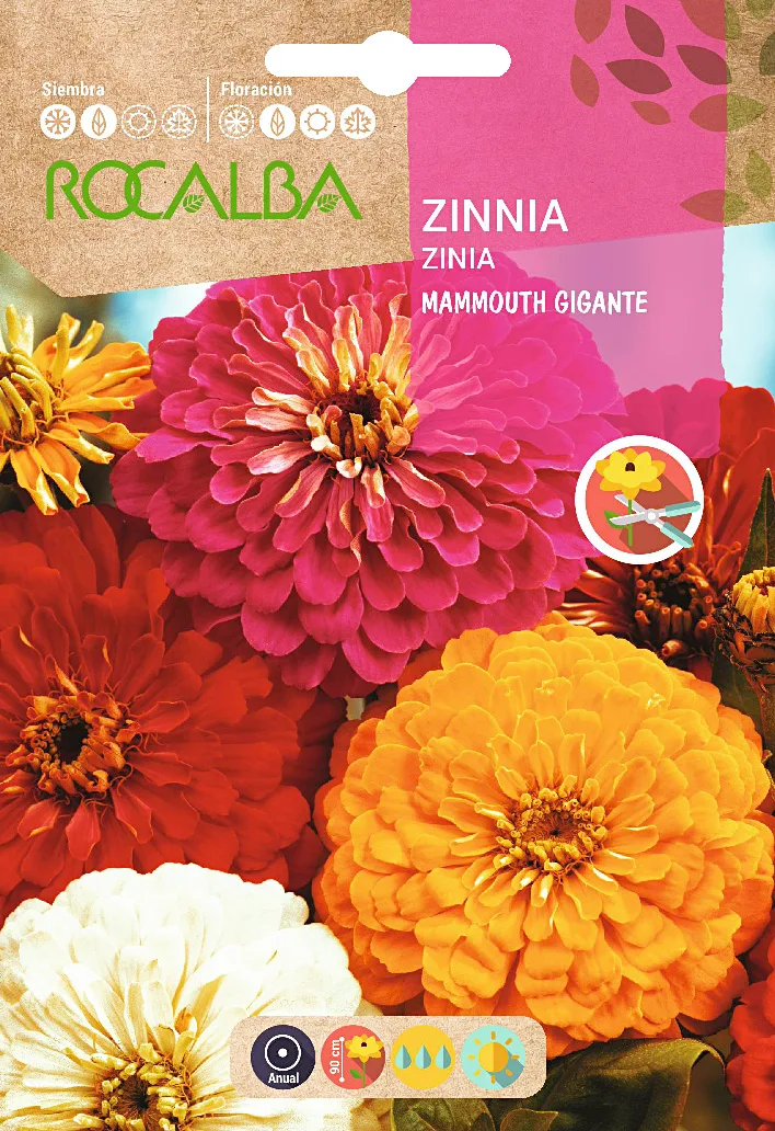 Semilla Zinia Mammouth Gigante Variada