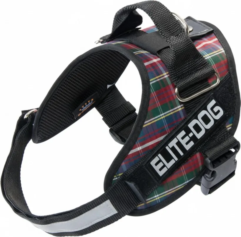 Arnes Elite Dog Talla 2 — foto 2