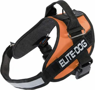 Arnes Elite Dog Talla 3