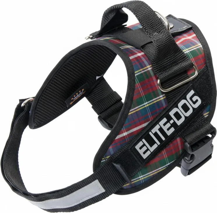 Arnes Elite Dog Talla 6