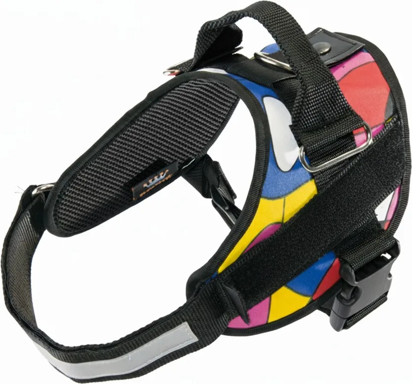 Arnes Elite Dog Talla 6 — foto 2