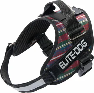 Arnes Elite Dog Talla 6