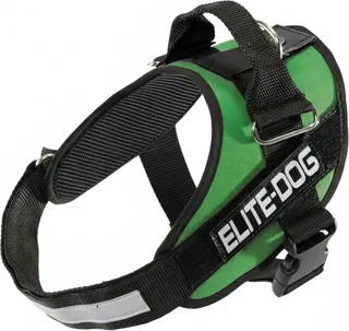 Arnes Elite Dog Talla 7