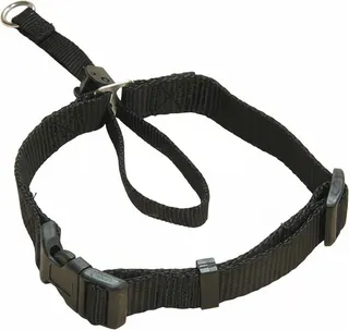 Bozal Collar Nylon 26 cm.
