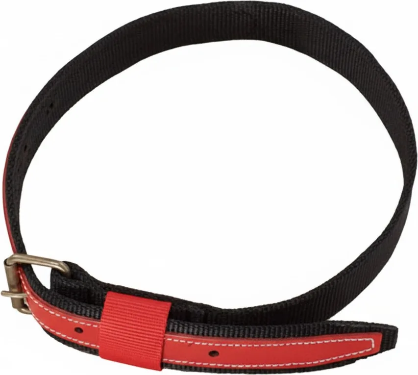 Collar Serraje Anilla Corredera 100 x 4 cm.