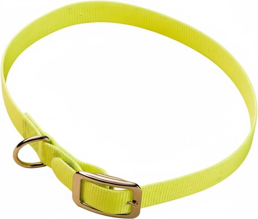 Collar Cinta Nylon Plastificada 55 x 2 cm