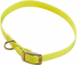 Collar Cinta Nylon Plastificada 65 x 2.5cm