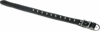 Collar Cuero/sill Acolchado 70cmx5