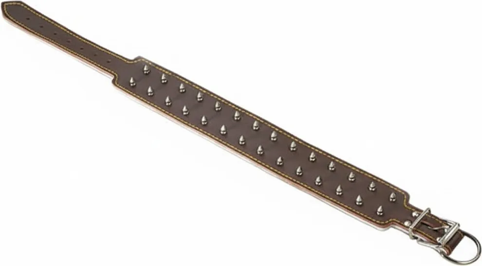 Collar Cuero Acolchado 80cm — foto principal