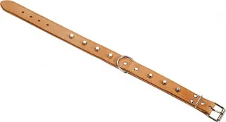 Collar Cuero Acolchado 50cm