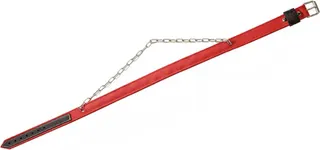 Collar Ganado Doble cadena Interior Antirrobo 115 x 4 cm