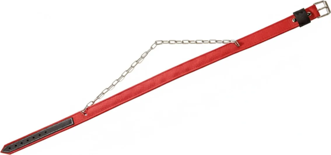 Collar Ganado Doble cadena Interior Antirrobo 125 x 4 cm. — foto principal