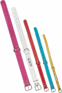 Collar Perro Serraje Plastificado 55 x 2,7 cm.