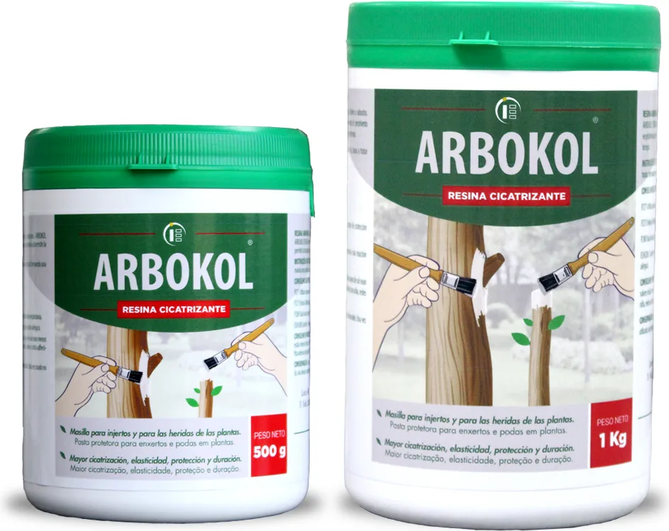 Arbokol Pasta Cicatrizante 500 gr
