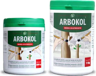 Arbokol Pasta Cicatrizante 500 gr