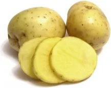 Bandeja Patata de Siembra Monalisa 100 unidades — foto 2