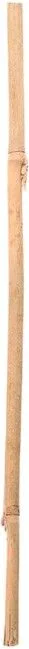 Tutor Bambu 210 cm Grosor 16-18mm