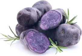Bandeja Patata de Siembra Vitelotte 100 unidades — foto 2