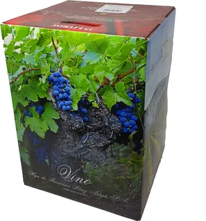 Vino Rosado Bierzo 15l